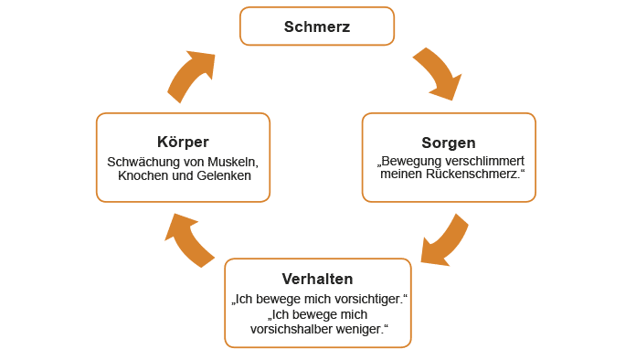 Schaubild