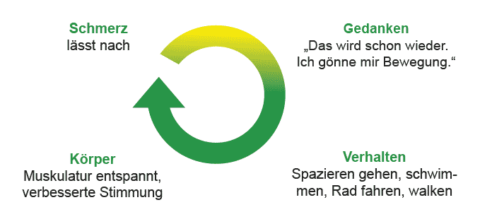 Schaubild