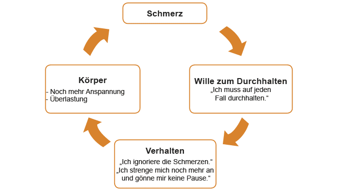 Schaubild